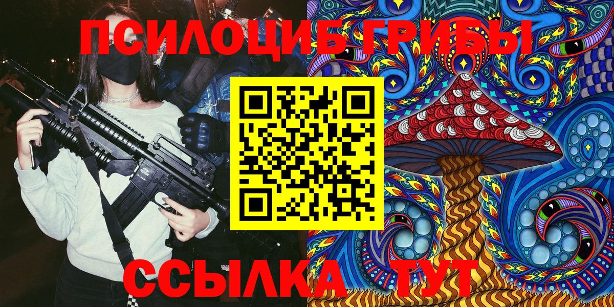 Галлюциногенные грибы Psilocybe Балахна
